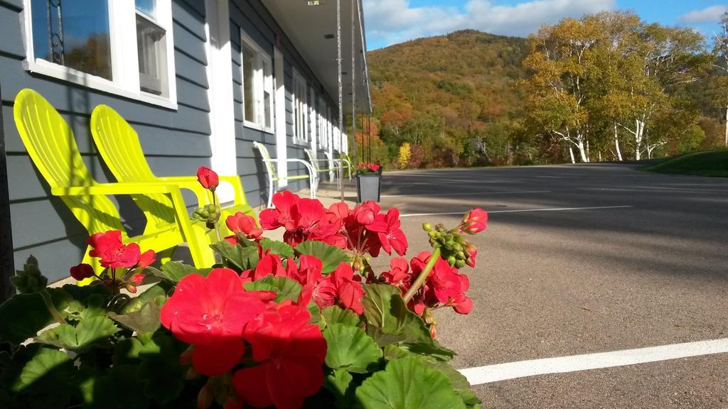 Cornerstone Motel Chéticamp Kültér fotó